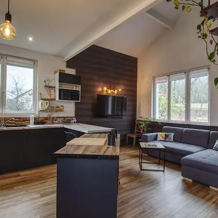 Holiday home Cosy House - - Val D'europe - Vallee Shopping